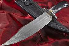 Elite Knives Keyhole Bowie knife with ebony handle