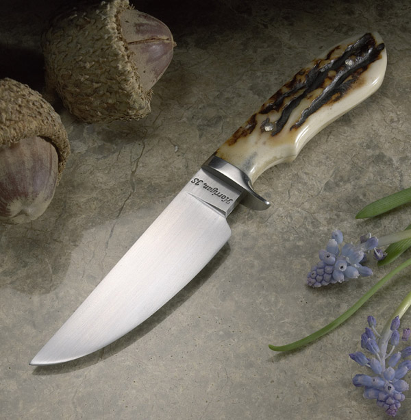 Elite Knives caping knife with stag handle scales