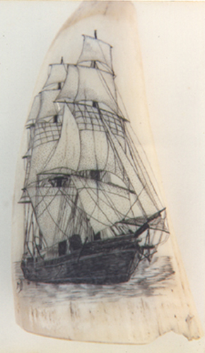 Scrimshaw By Mary scrimshaw of a clipper ship       done on a sperm whale tooth